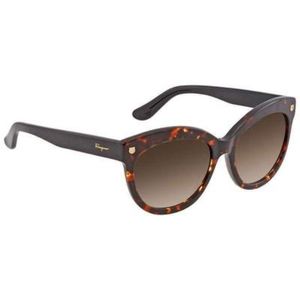 Salvatore Ferragamo Sunglasses